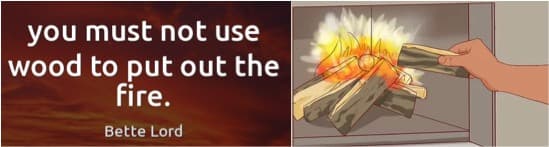 You must not use wood to put out the fire: Organic milk story in India