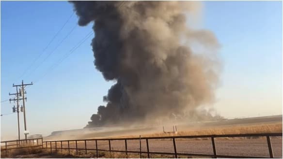 Over 18000 cows die in Texas dairy farm blaze – Reuters