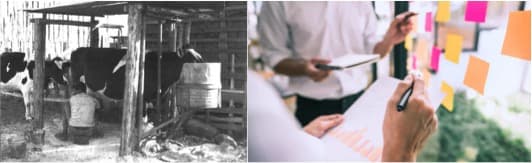 From Poor Cooperative to Successful Corporative : Ministry of Coop