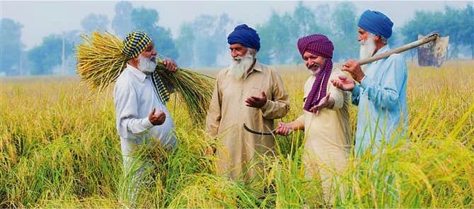 Collective thrust can make farmers market-savvy