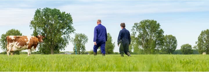 Campina completely produced using green electricity generated by farmers