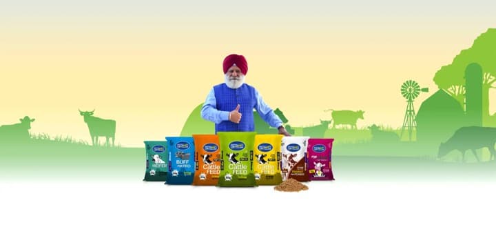 Revolutionizing Cattle Feed: A Triumph of R&D
