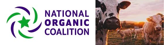 New organic dairy rule taps down on how to expand herds