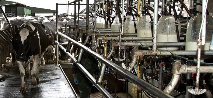 Are your Standard Operating Procedures fit for purpose?