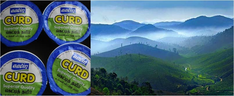 Uniform price of Aavin dairy products sought for Nilgiris residents