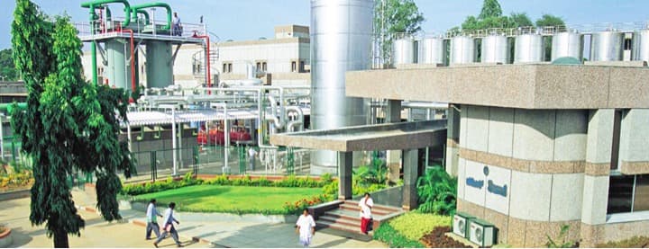 Govt to merge two large dairy schemes to aid private sector