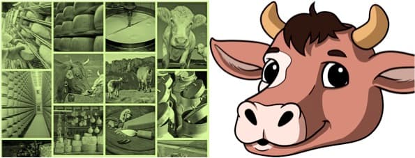 Future of Animal Husbandry in India, Trends, And Growth