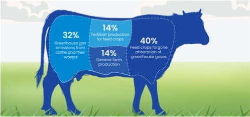 Carbon insetting vs carbon offsetting: what you should know