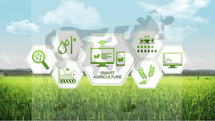 Science-based targets could hold the key to feeding the world