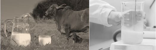 What do we call a non scientific study ? Non science or nonsense ?