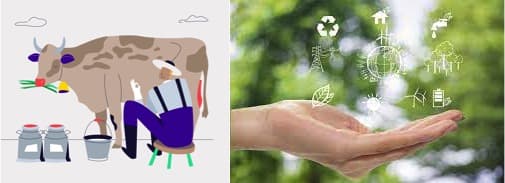 Skilling or Subsidy, Which one will you choose for sustainable farming?