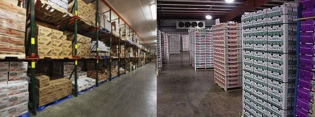 Best Business Tips for FMCG Companies