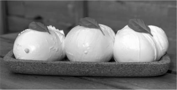 Dairy majors in India planning to set up buffalo mozzarella plants