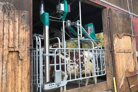 Eurotier Innovation Awards: CowToilet awarded gold