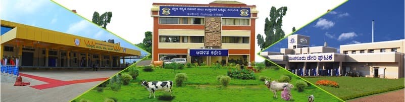 Nine milk unions face losses but DKMUL thrives under KMF