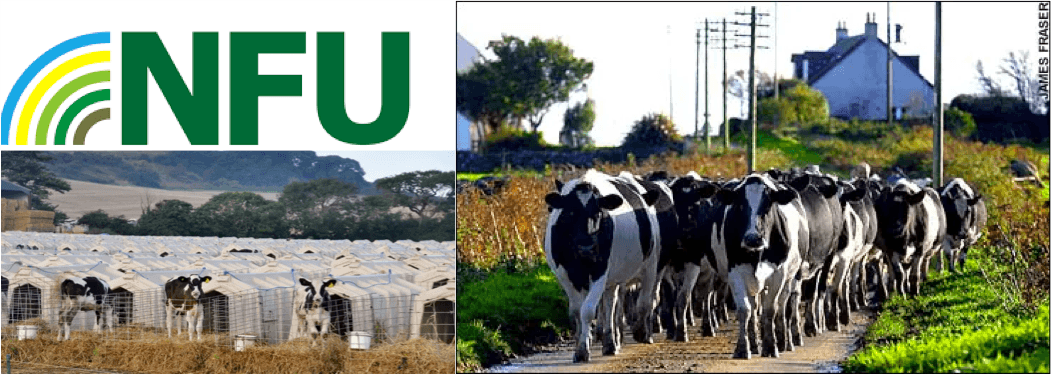 WORLD DAIRY NEWS Confidence among British farmers remains low due to pandemic shocks