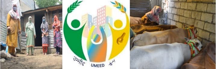 ‘Umeed’ scheme create first women dairy farmer producer Co at Pulwama