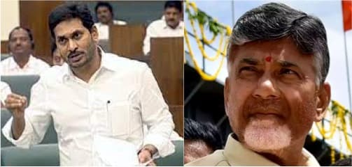 Dairy cooperatives is a political tool in Andhra Pradesh