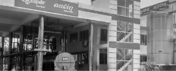 Aavin’s daily milk procurement crosses 31L litres