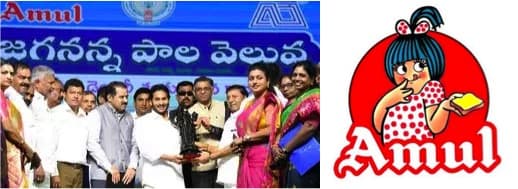 Amul caught in a fresh row over new AP dairy project