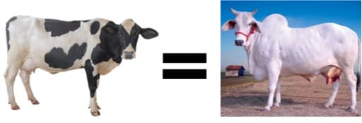 No Difference Between Milk Of Indian And Foreign Cows : Sanjeev Balyan