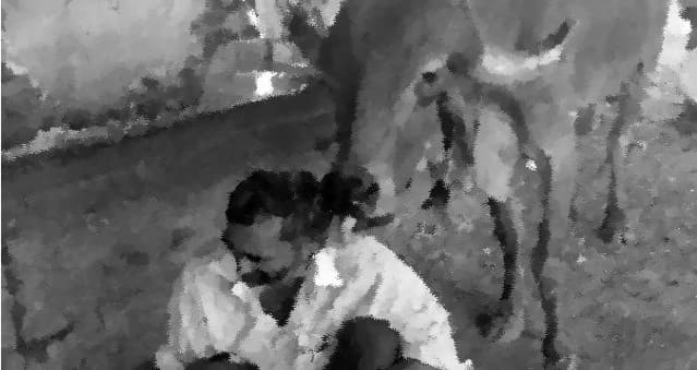 Agenda for the government –#1 Don’t meddle with dairy industry