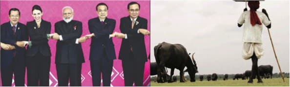 Dairy is business for them, livelihood for us: Sodhi recalls RCEP debates