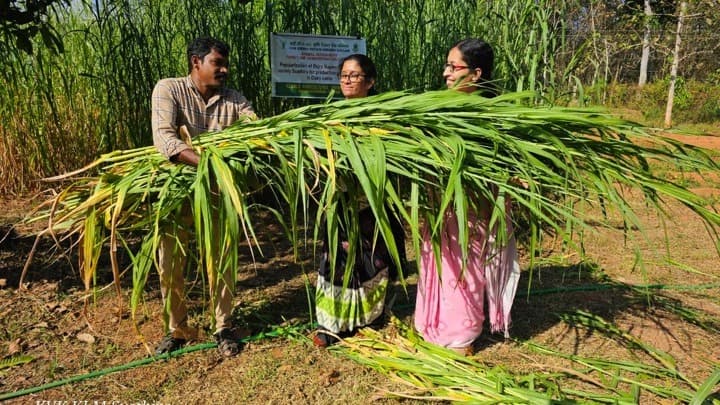 Susthira offers a sustainable option for dairy farmers