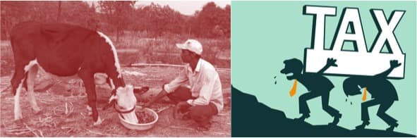 Government all set to tax poor dairy cooperatives