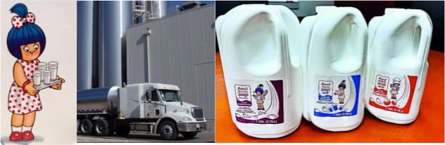 Amul Launches Fresh Milk in US Following Modi's Global Ambition