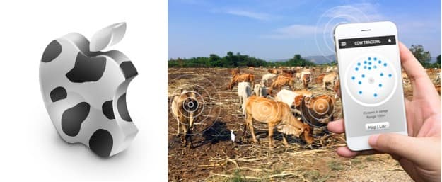 Here is What Apple's Formula Could Mean for Dairy Technology