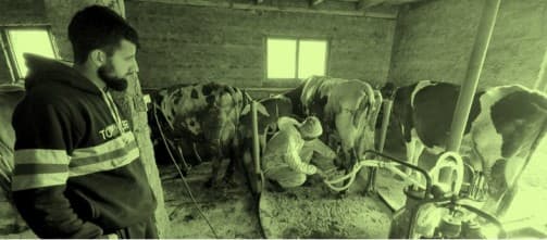 Boosting Dairy Industry in J&K: Holistic Program to focus on AI