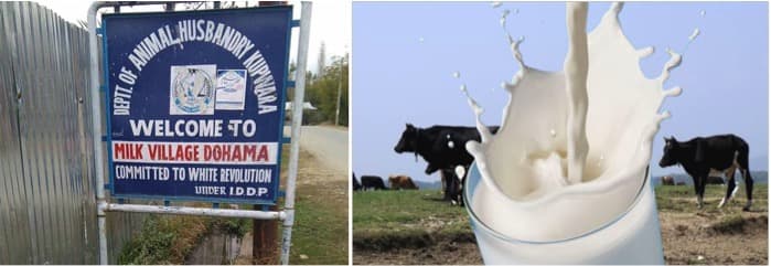 Kupwara’s Only Milk Plant Faces Closure Over Unsettled Payments