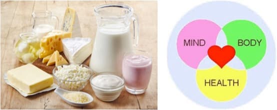 Experts say dairy products can benefit the body and the mind