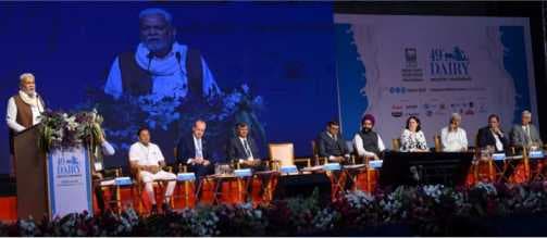 India must focus on breed improvement, cattle productivity