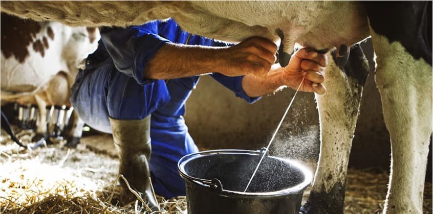 Towards White Revolution 2.0