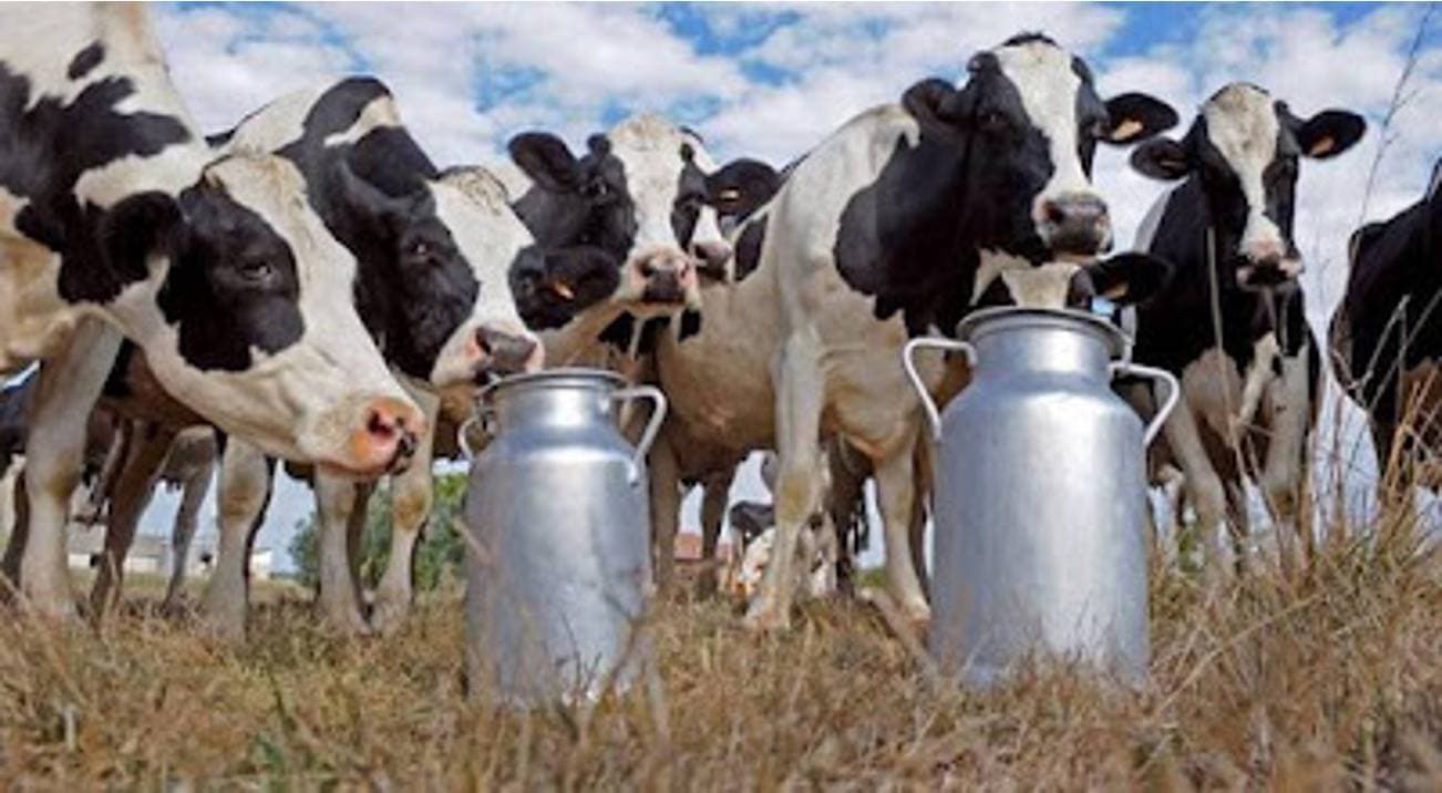 How to bring about White Revolution 2.0