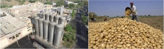 Banas Dairy is setting up a Potato Processing Plant for Rs 100 Crores