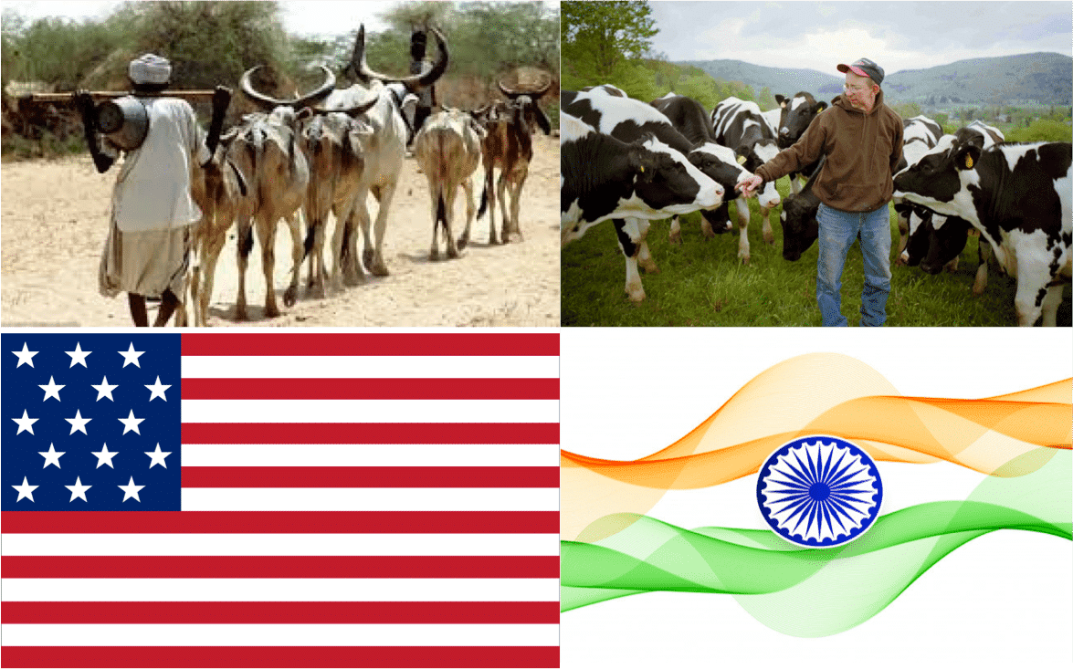 Indo-US FTA : What’s in it for Indian dairy farmers ?