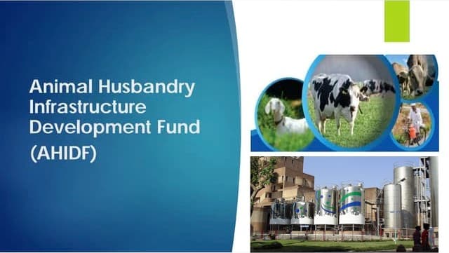 New norms to rein in defaults in AHIDF dairy scheme