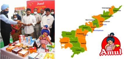 Amul to replicate Gujarat dairy cooperative model in AP