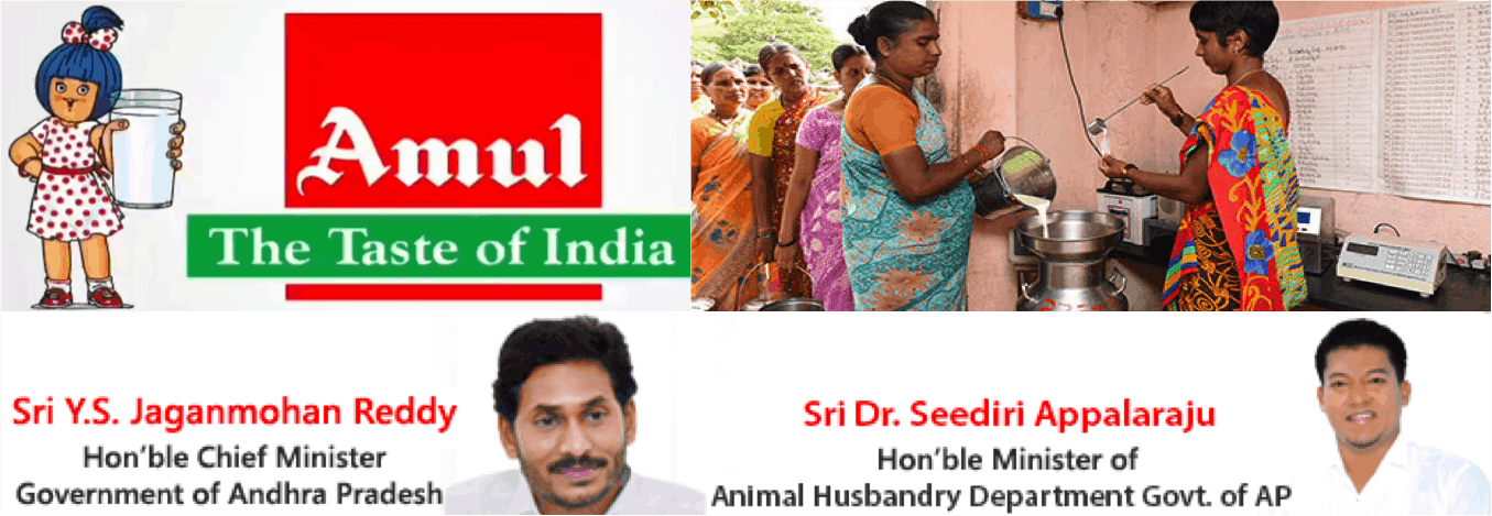 Amul will begin milk procurement in Andhra Pradesh from Nov 20