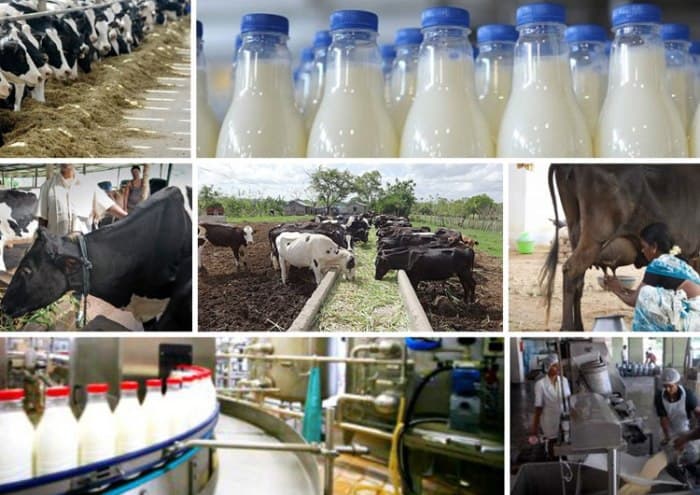 ICT may change footprint of Indian dairy sector : Atul Chaturvedi Secy Animal Husbandry