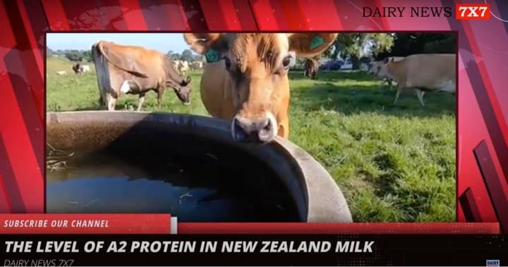 Heatwave Boost: Dairy Industry Soars with Double-Digit Growth in Beverages, Fermented Milks