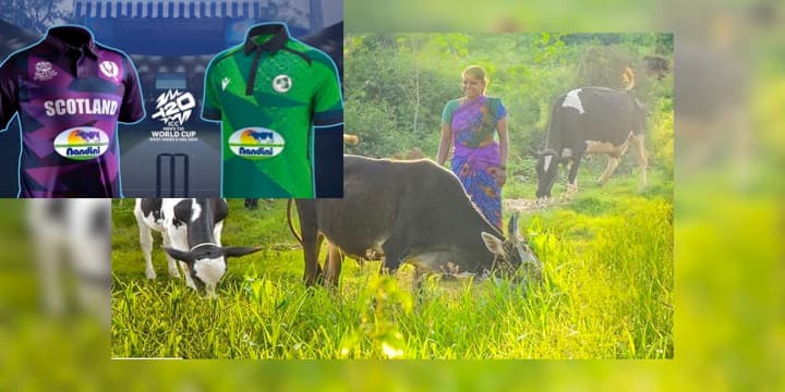 Karnataka farmers decry delay in milk incentives, dues as KMF sponsors T20 World Cup teams