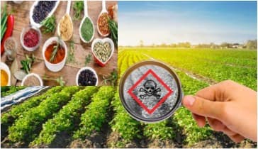 Activists call out FSSAI for increasing permissible level of pesticides in Indian herbs, spices