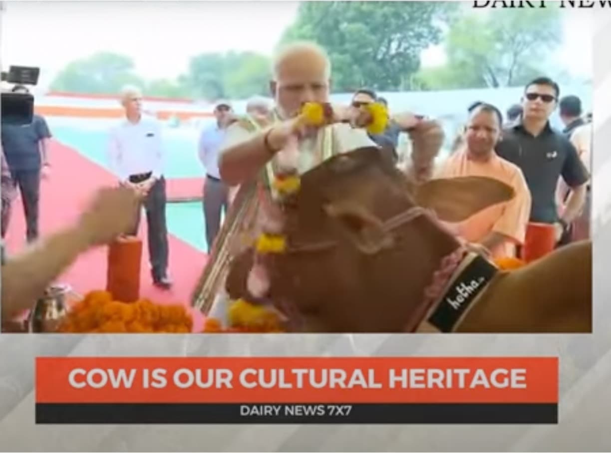 Expectations of Dairy Industry from FM Nirmala Sitharaman for Budget 2024-25