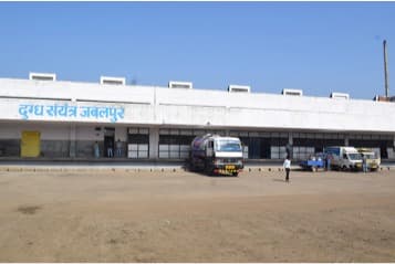 NDDB developing Business Plan to revive MP state dairy cooperative