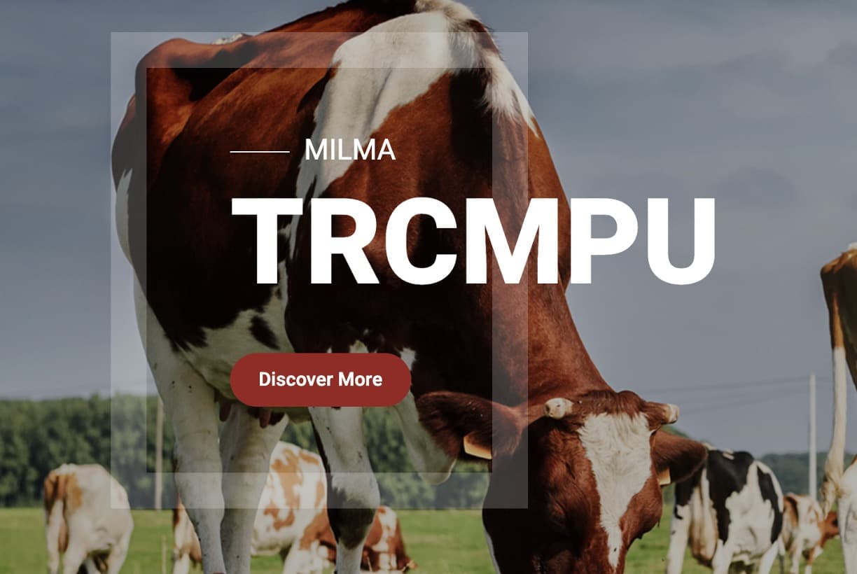 Milma increases milk procurement price by ₹9 /l for Onam