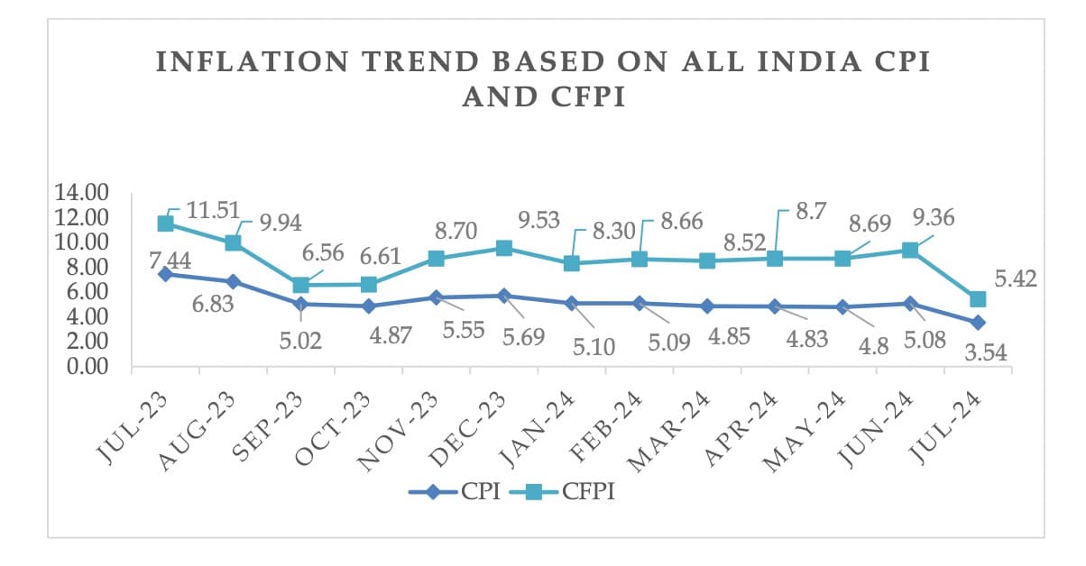 Sharp decline in the  inflation rate based on CPI in July 2024